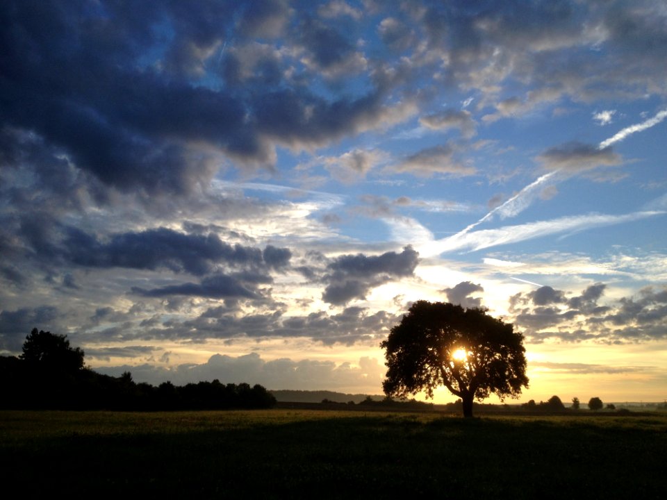 Sky Cloud Horizon Tree
