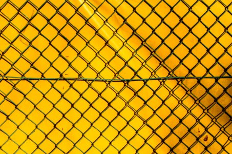 Yellow Pattern Net Line photo