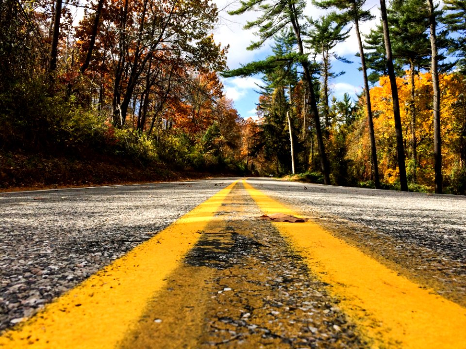 Road Asphalt Trees photo