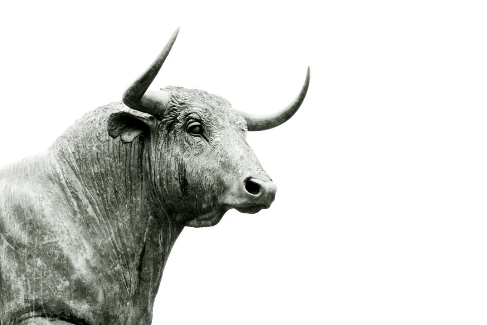 Bull Sculpture Bullish
