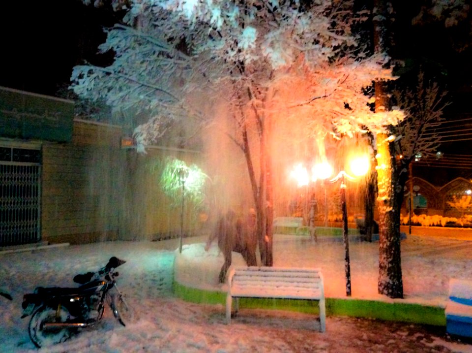 Atmosphere Plant Light Green
