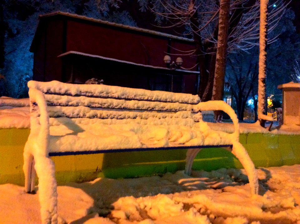 Outdoor Bench Snow Plant Wood