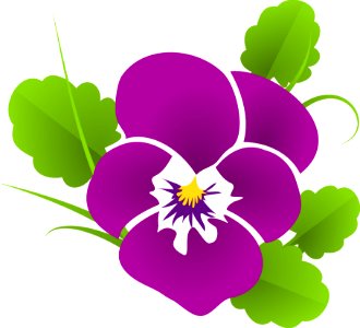 Flower Flowering Plant Plant Violet