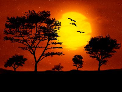 Sky Nature Savanna Sunrise photo