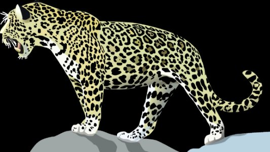 Leopard Terrestrial Animal Jaguar Wildlife photo