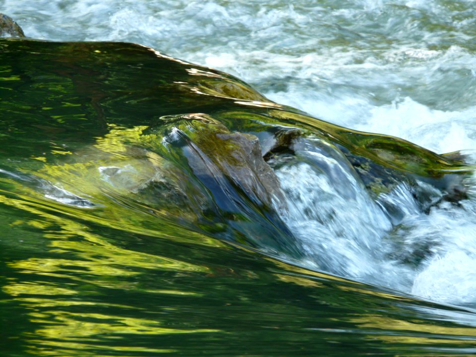 Water Nature Green Body Of Water