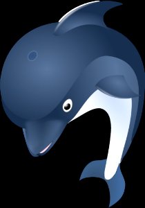 Marine Mammal Dolphin Mammal Whales Dolphins And Porpoises