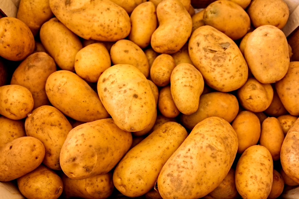 Root Vegetable Potato Food Produce