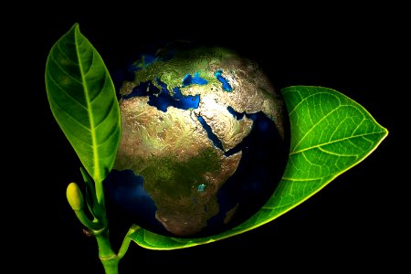 Earth Planet Globe World