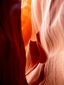 Orange Close Up Girl Long Hair