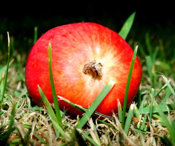 Fruit Apple Local Food Close Up