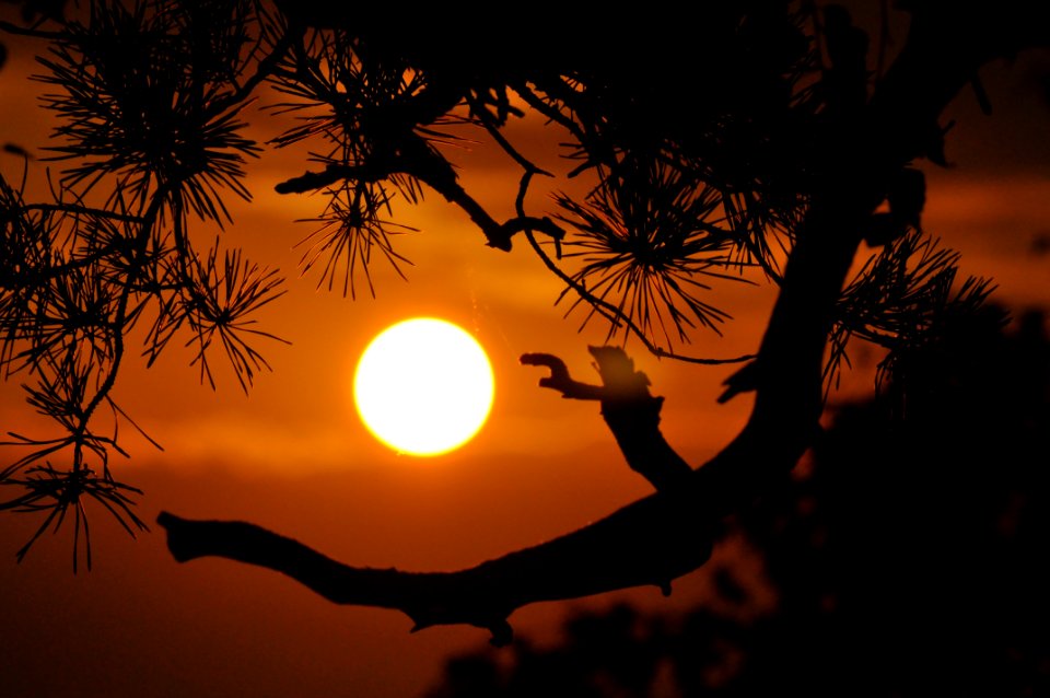 Sun Sky Sunset Sunrise