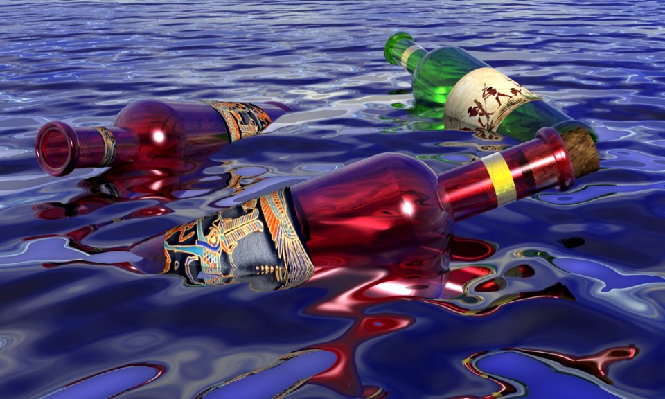 Water Reflection Organism Marine Biology