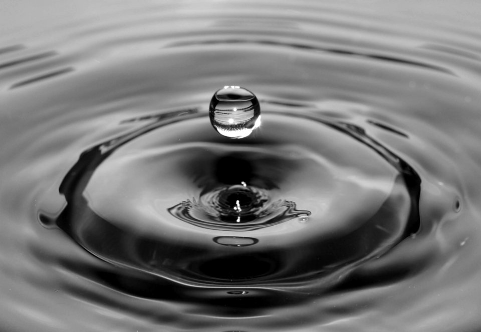 Water Drop Black And White Monochrome Photography photo