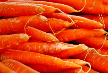 Carrot Vegetable Orange Food photo