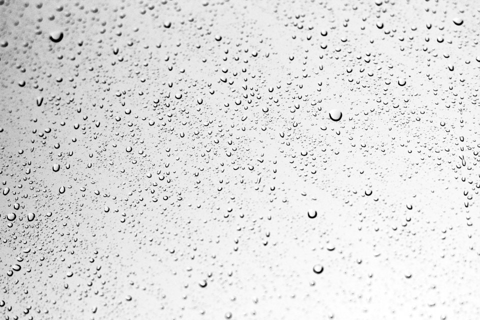 White Black And White Monochrome Photography Monochrome