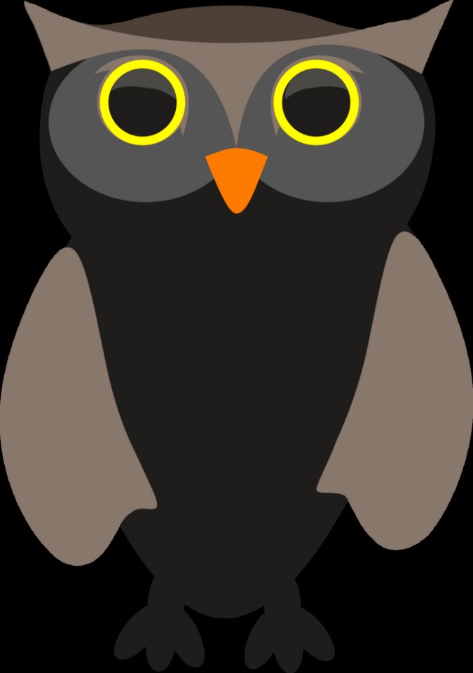 Owl Bird Beak Bird Of Prey