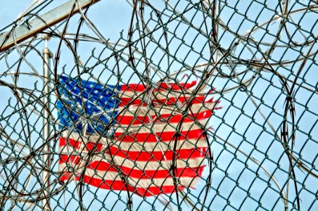 Wire Fencing Structure Net Branch