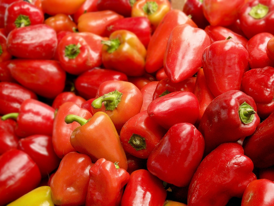 Red vegetale paprika