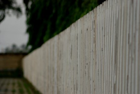 Edge Of White Fence