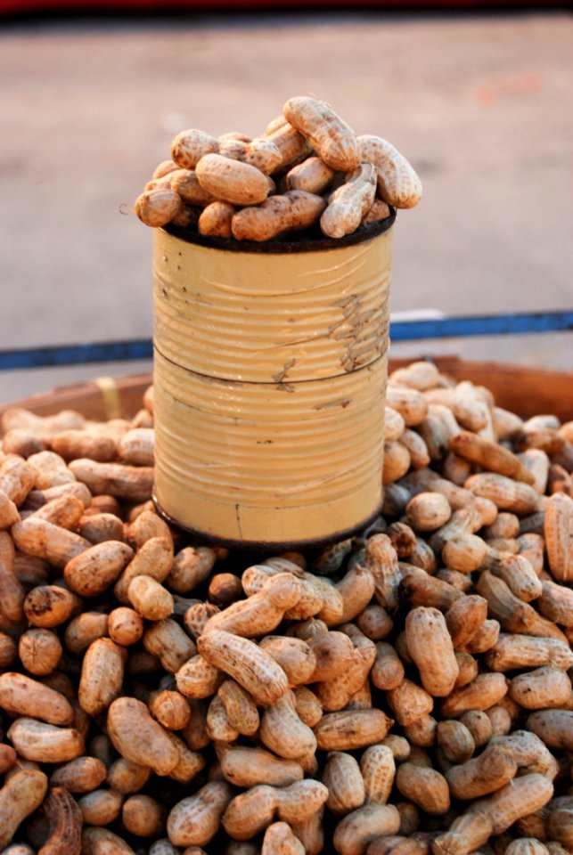 Peanut In Can For Sale
