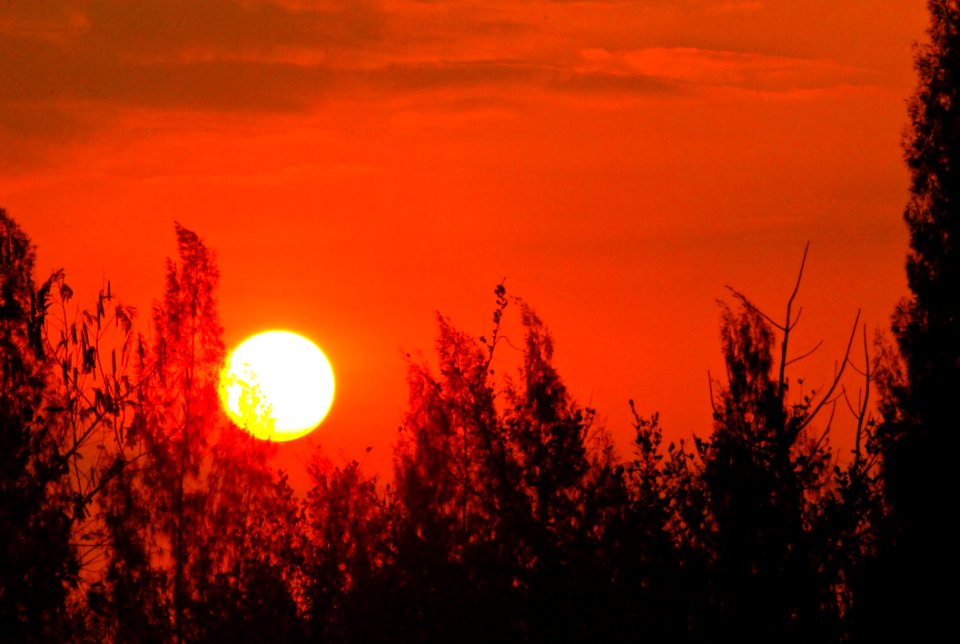 Sunrise Up In The Morning