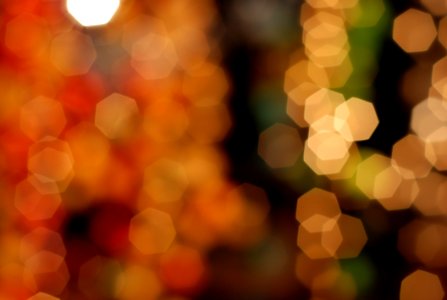 Show Many Bokeh