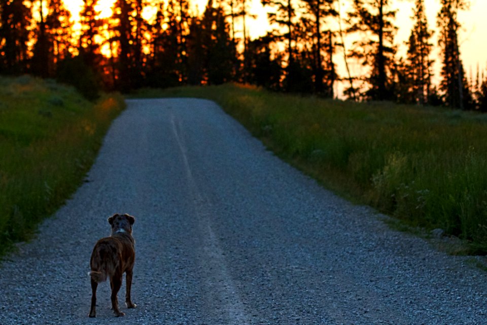 Where Does The Road Take Us