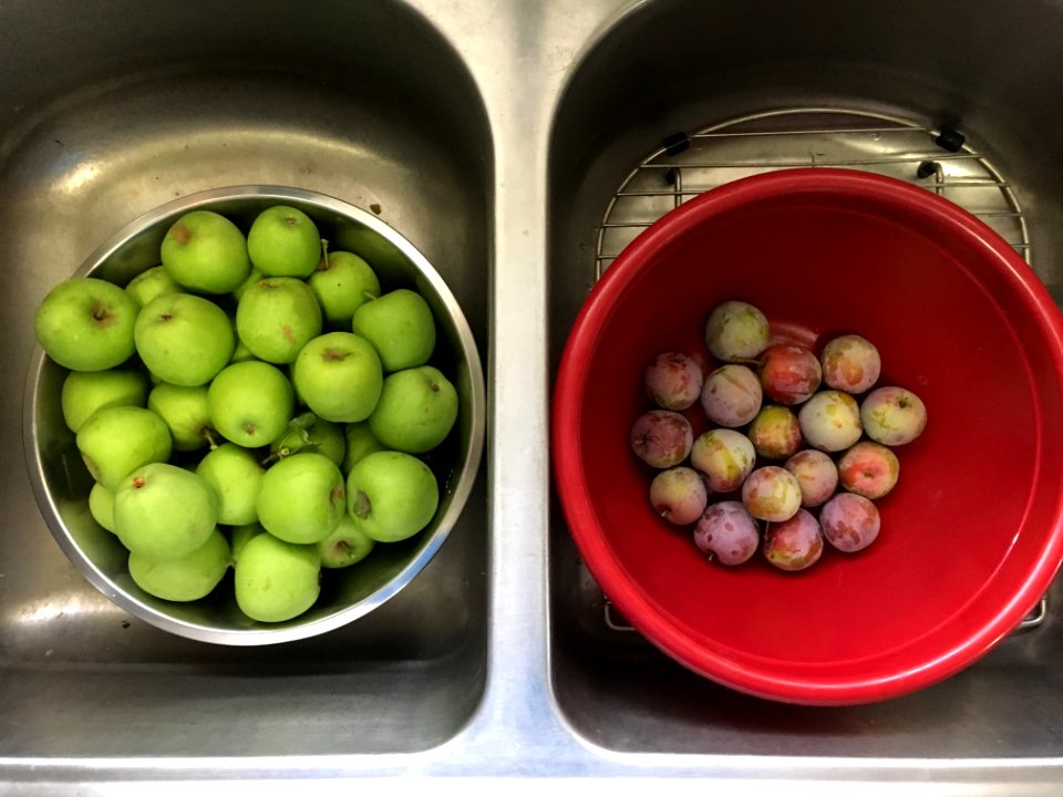 The Fruit Season Is Here