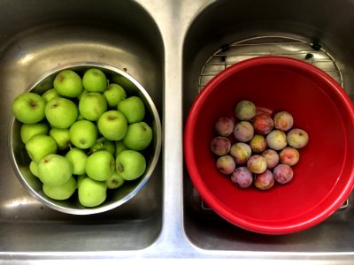 The Fruit Season Is Here