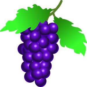 Grape Produce Fruit Food photo