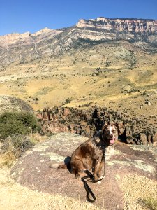 Not Impressed With Structural Geology
