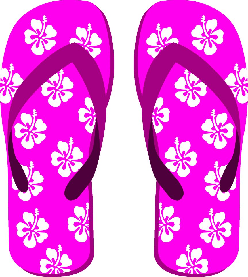 Footwear Pink Shoe Flip Flops