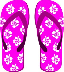 Footwear Pink Shoe Flip Flops