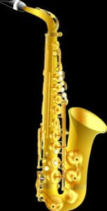 Saxophone Musical Instrument Woodwind Instrument Saxophonist photo