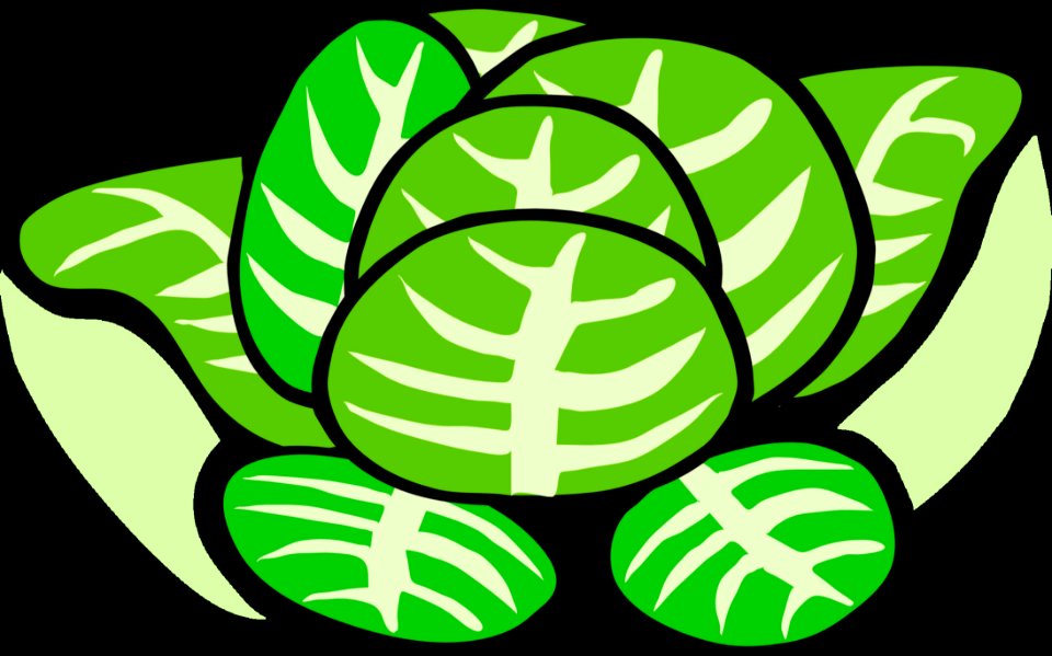 Green Yellow Leaf Plant