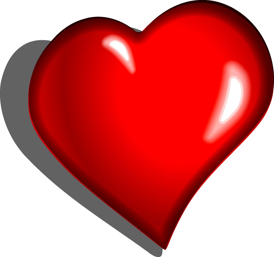 Red Love Heart Organ