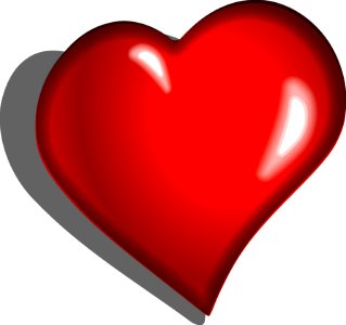 Red Love Heart Organ
