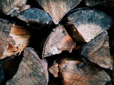 Wood Slab