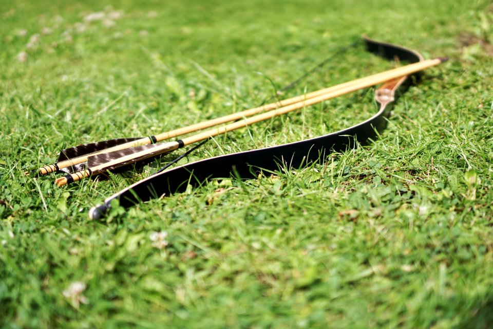 Black And Brown Bow On Grass Field During Daytime