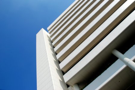 White Building Stand In Many Office
