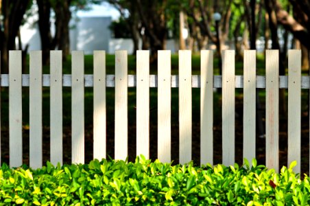 White Fence In Front Of Garden