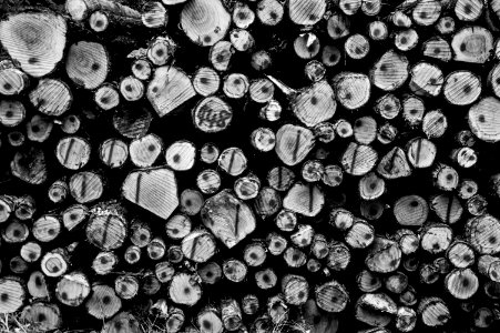 Grayscale Photography Of Wirewood Logs photo