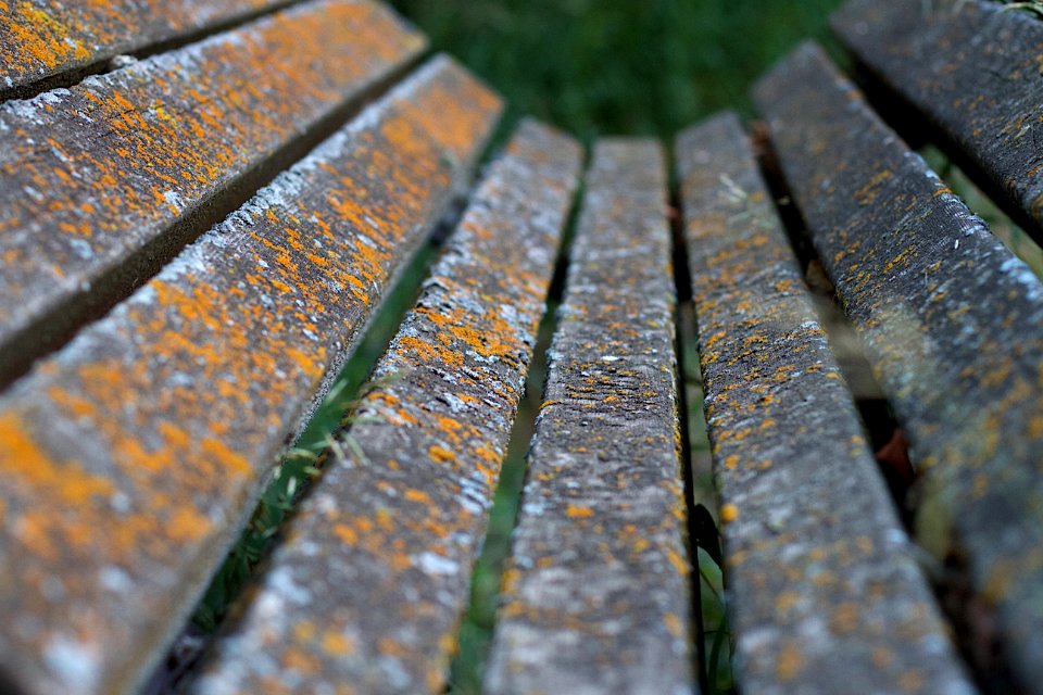 Metal Grass Line Wood
