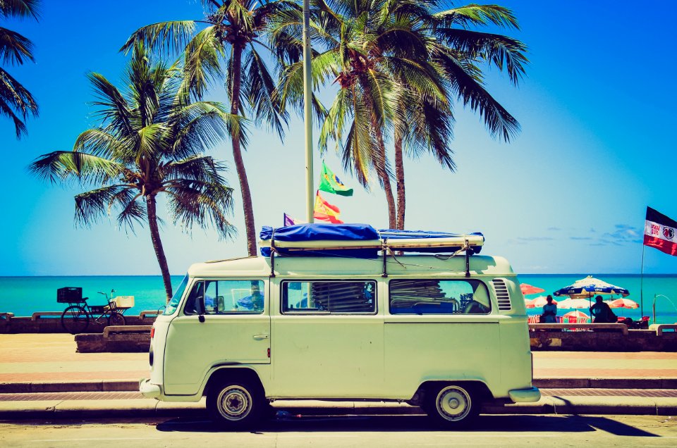 Car Motor Vehicle Vehicle Palm Tree