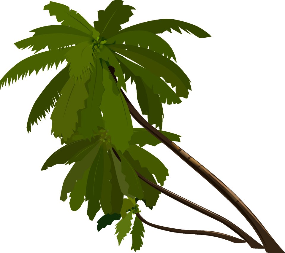 Plant Leaf Tree Branch