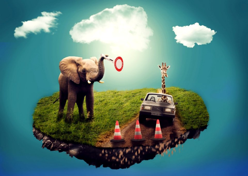 Elephants And Mammoths Indian Elephant Sky Elephant