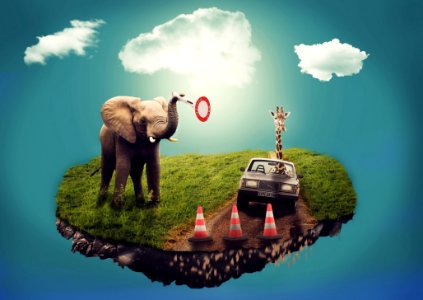 Elephants And Mammoths Indian Elephant Sky Elephant