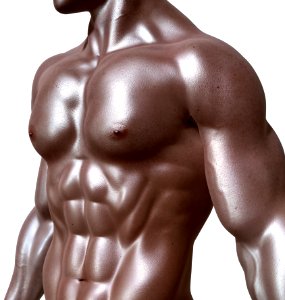 Bodybuilder Body Man Man Bodybuilding photo