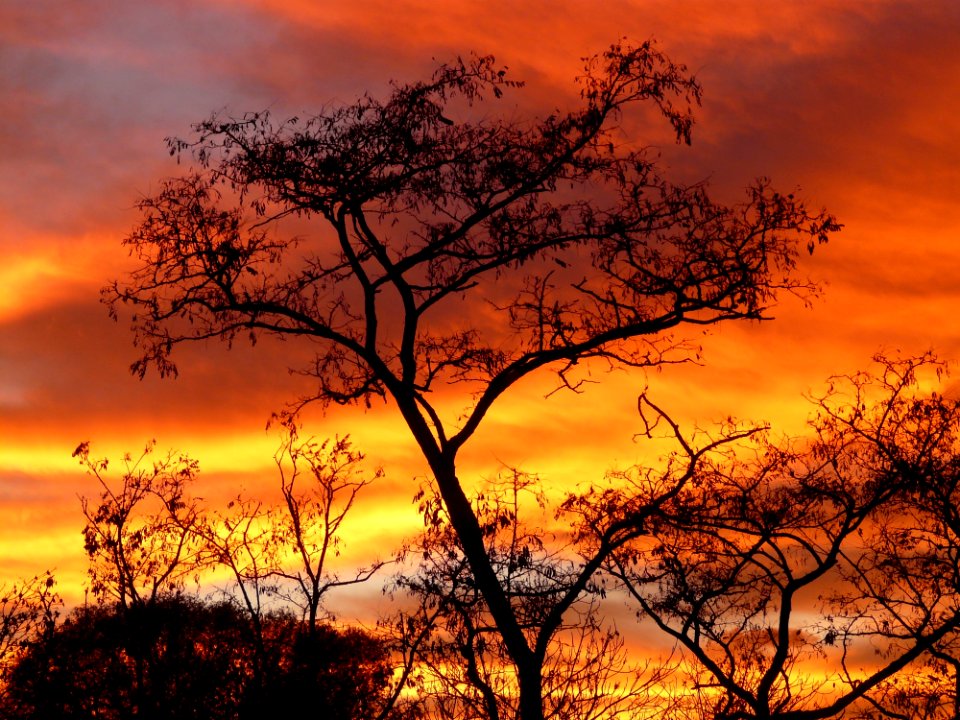 Sky Red Sky At Morning Afterglow Ecosystem photo